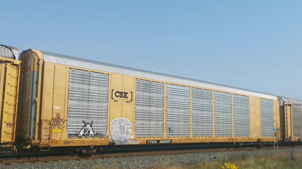 CSX B11885 (Body) TTGX 695501 (Flat)